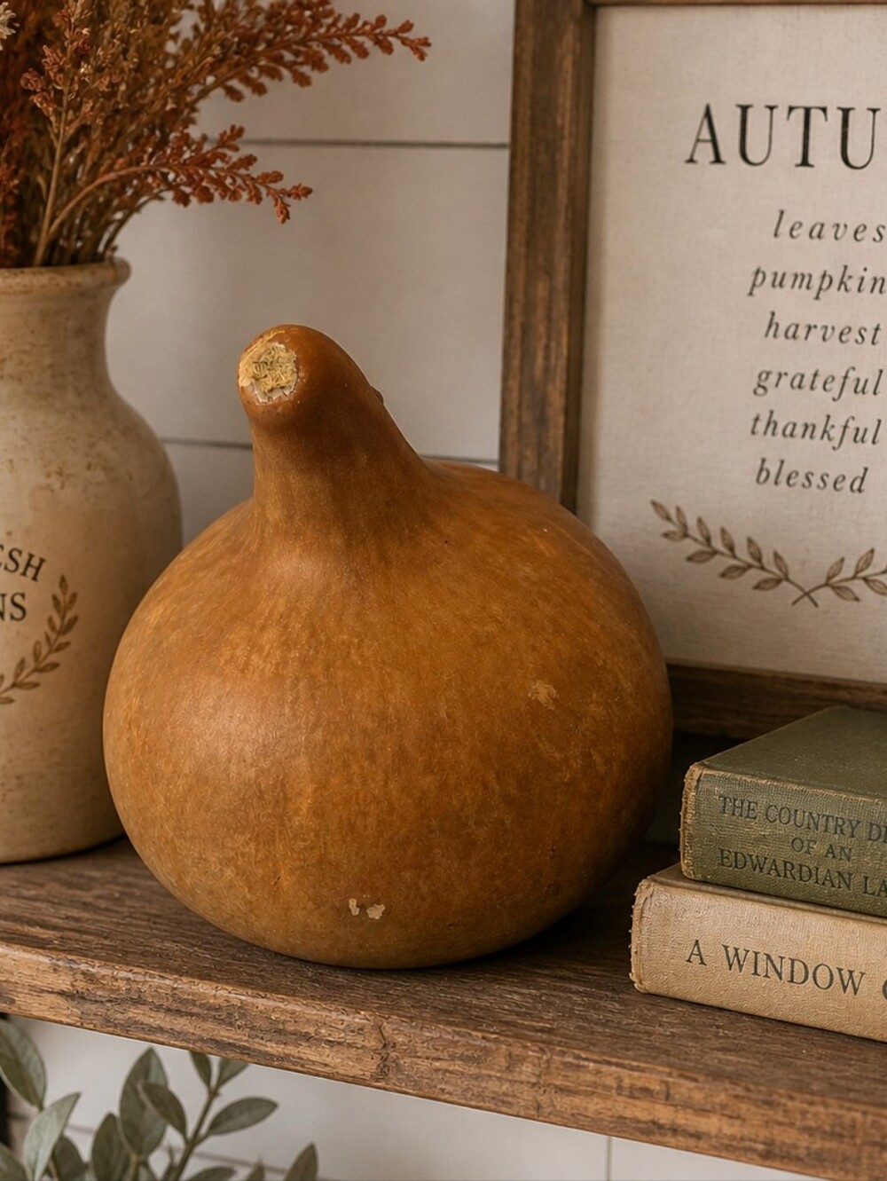 Natural Dried Gourd Rustic Farmhouse Decor Organic Craft Supply Cottagecore